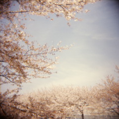 Copyright(c) 2008 けんじ All rights reserved.